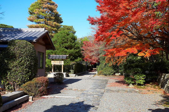 日本天龙寺