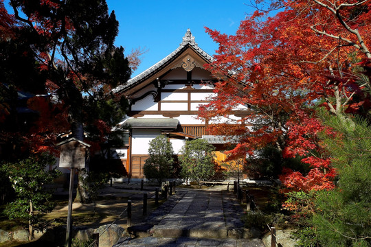 日本天龙寺
