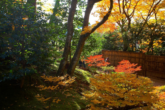 日本银阁寺