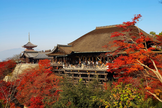 日本清水寺