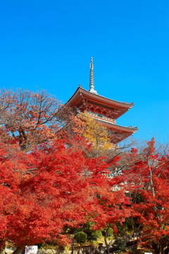 日本清水寺