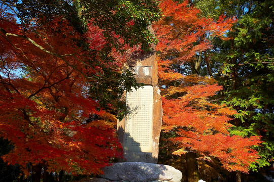 日本南禅寺