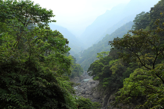 溪谷风景