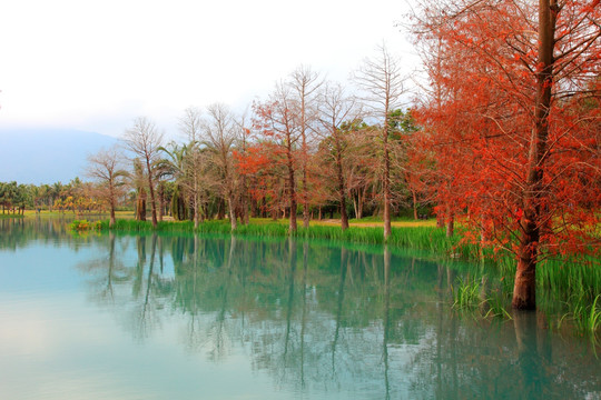 风景