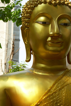 泰国佛陀