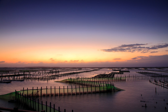 台湾七股潟湖