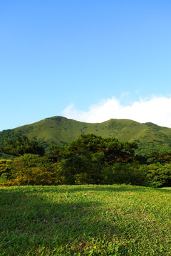 草原