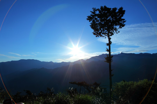 风景