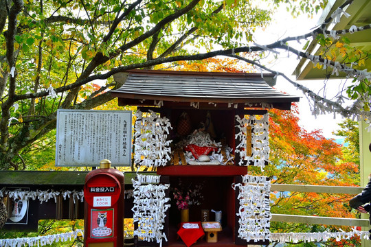 日本九重町神社