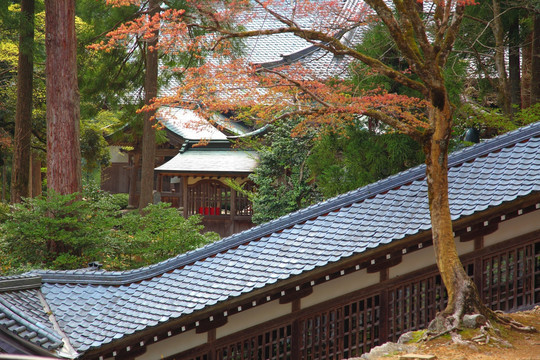 日本永平寺
