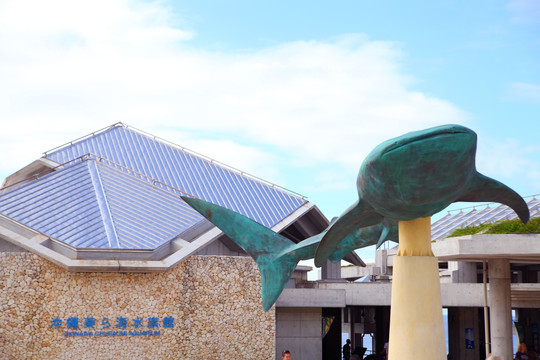 日本,冲绳美丽海水族馆