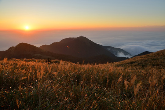 阳明山