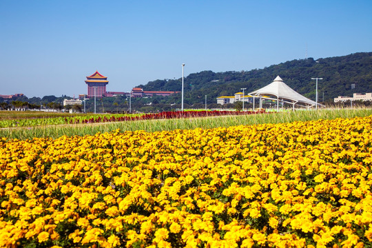 台北国际花卉博览会