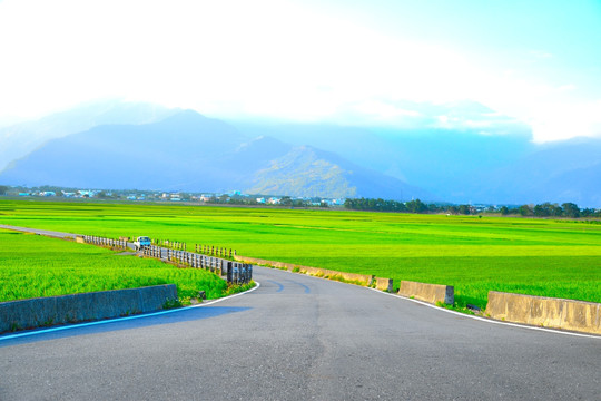 台东池上乡稻田