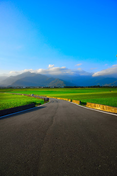 台东池上乡稻田