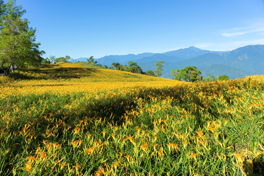 美丽景色