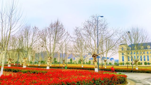 河南农业大学校园风景