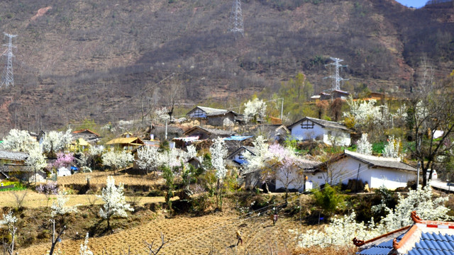 新农村建设