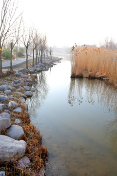 自然驳岸