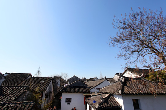 中國 水鄉(xiāng) 周莊