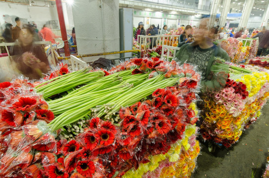 昆明斗南花市夜市