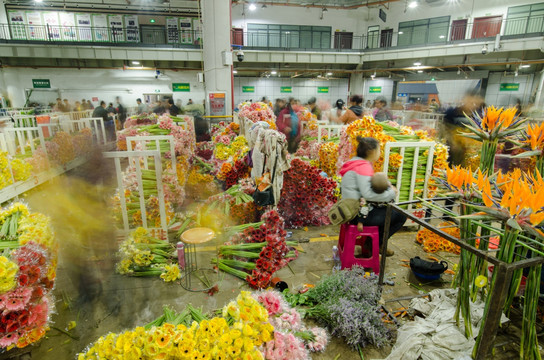 昆明斗南花市夜市