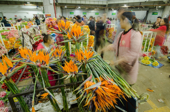 昆明斗南花市夜市