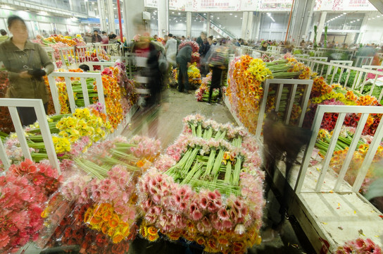 昆明斗南花市夜市