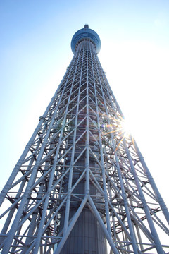 日本东京晴空塔