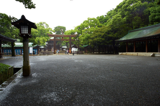 东京明治神宫