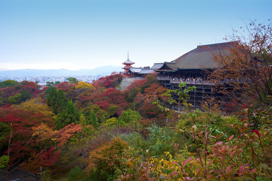 日本清水寺