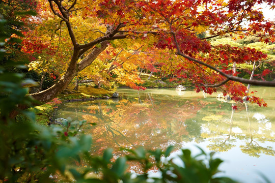 金阁寺