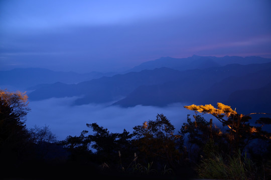 阿里山风景