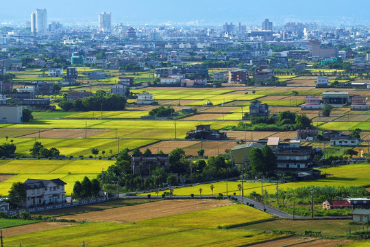 兰阳平原