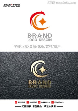 龙 金融 科技 地产LOGO