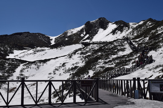 苍山风光 游山步道