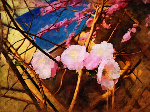 桃花 花卉装饰画