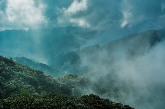 雾色山景