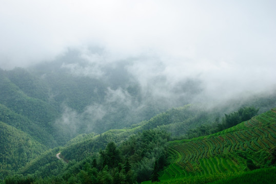 雾色山景