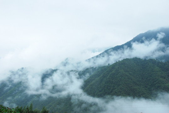 雾色山景