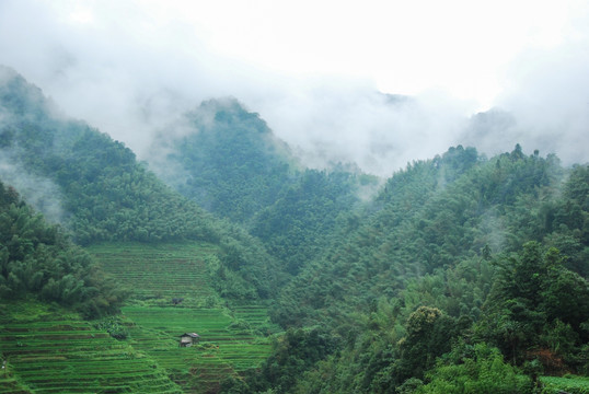 雾色山景