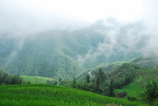 雾色山景