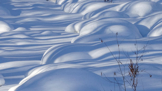 雪域