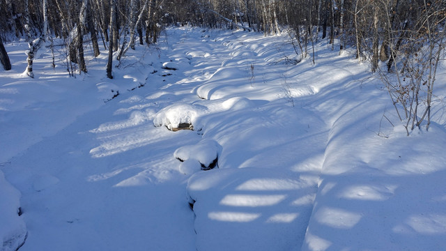 雪域