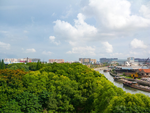 城市森林