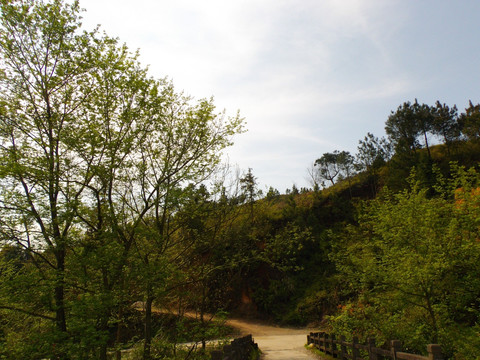 乡村风景