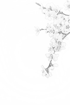 畫中桃花