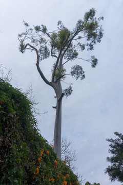 厦门鼓浪屿