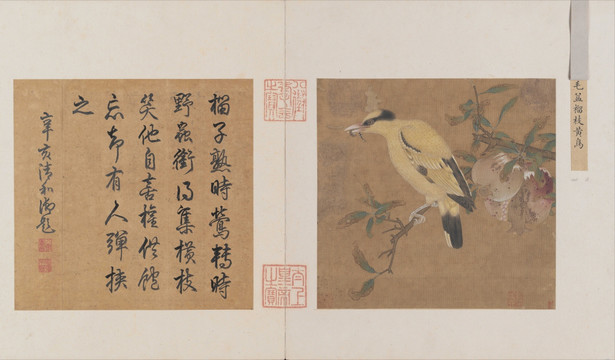 榴枝黃鳥圖