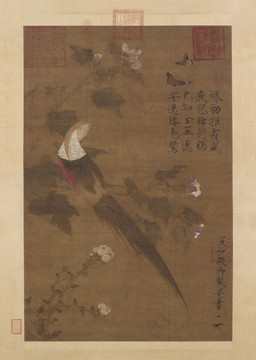 芙蓉錦雞圖